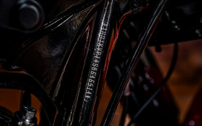 2025 Harley-Davidson Road King Special