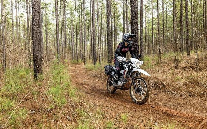 2026 XR150L - Honda