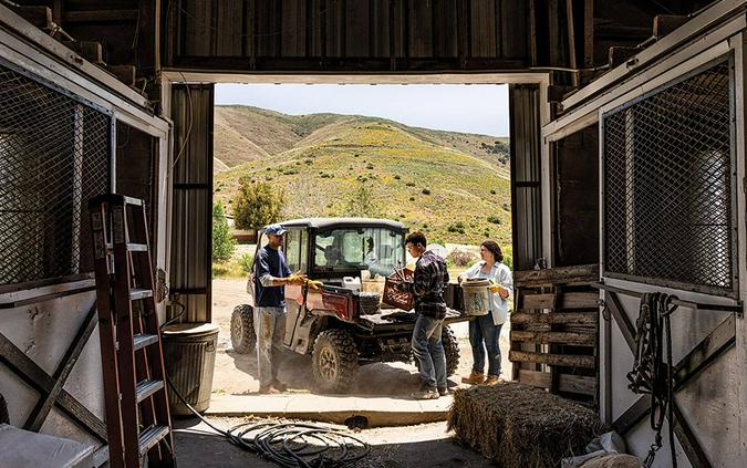 2024 Can-Am Defender MAX Limited