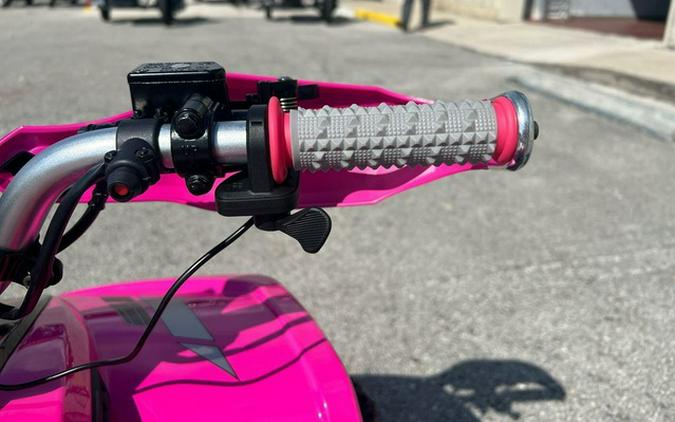 2026 Denago Powersports E-HAWK 6