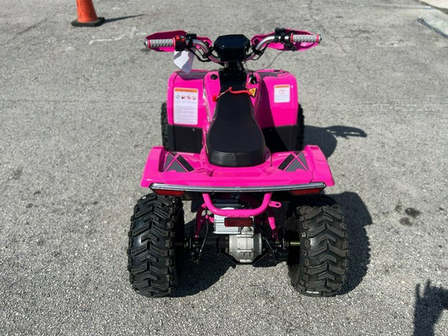 2026 Denago Powersports E-HAWK 6