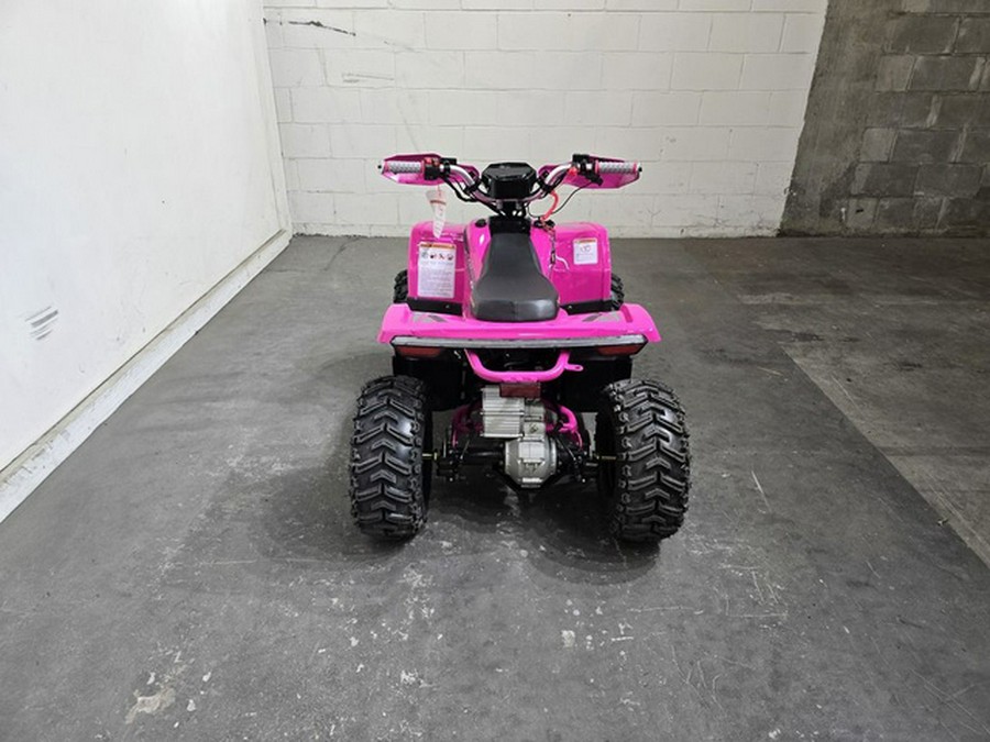 2026 Denago Powersports E-HAWK 6