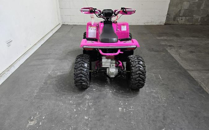 2026 Denago Powersports E-HAWK 6