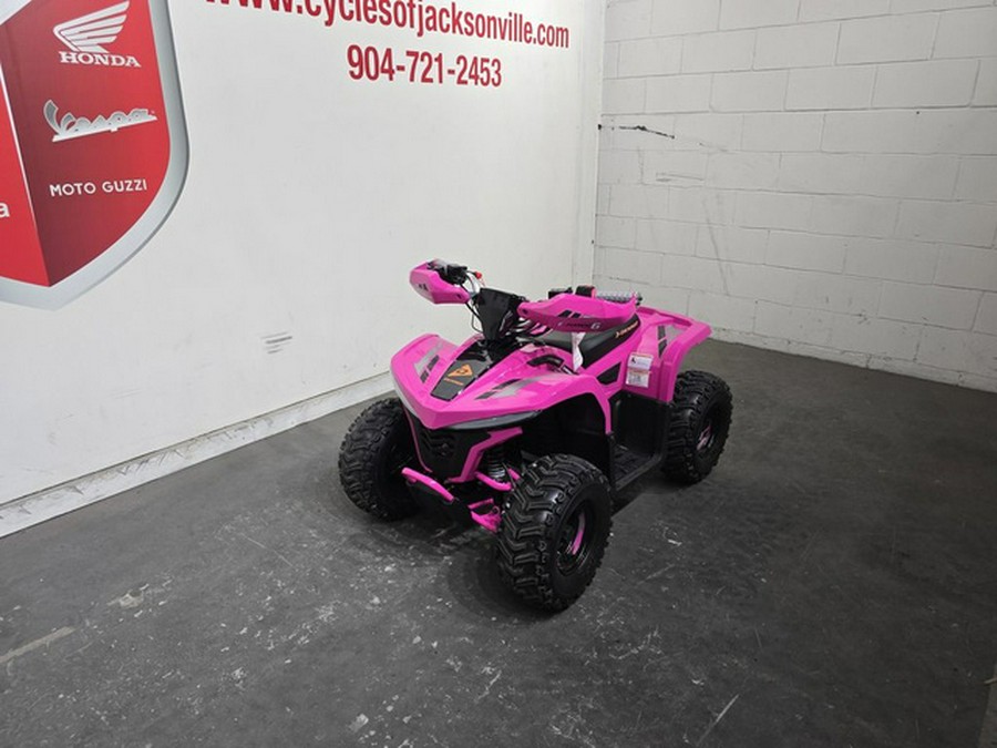 2026 Denago Powersports E-HAWK 6