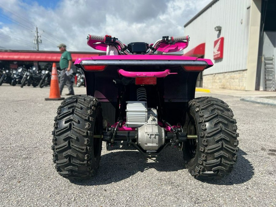 2026 Denago Powersports E-HAWK 6
