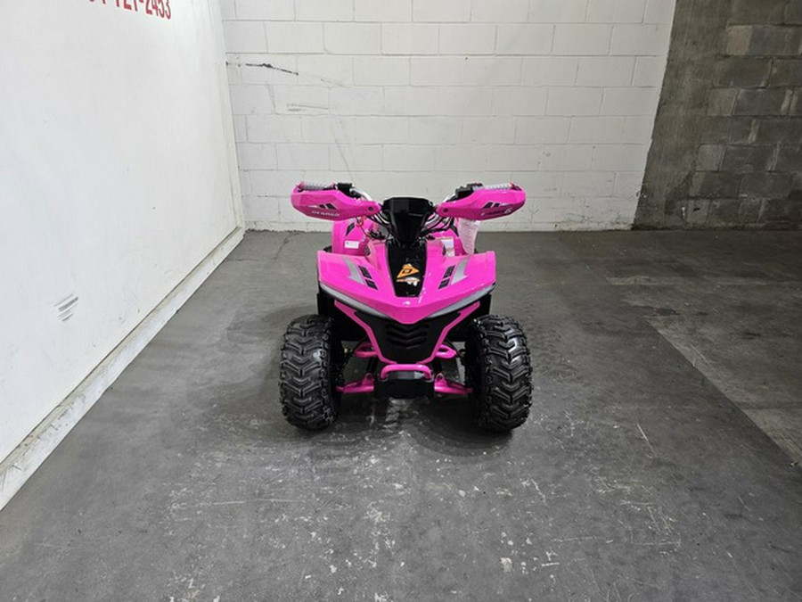 2026 Denago Powersports E-HAWK 6