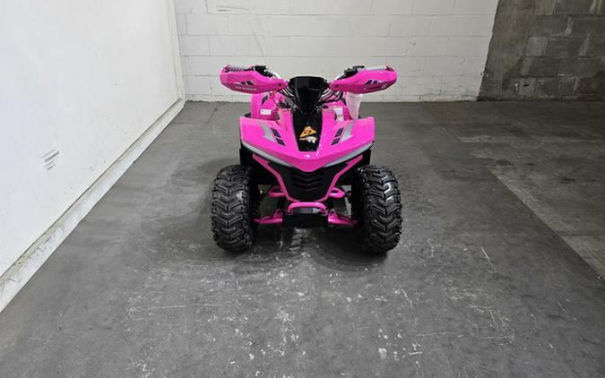 2026 Denago Powersports E-HAWK 6