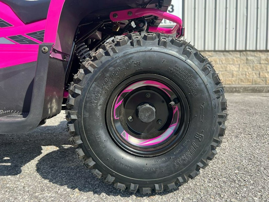 2026 Denago Powersports E-HAWK 6
