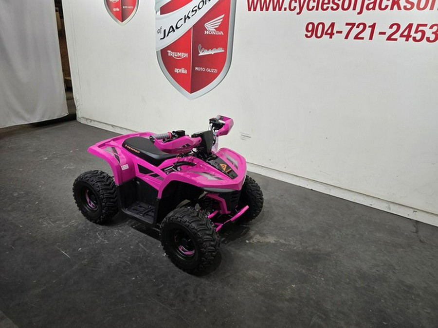 2026 Denago Powersports E-HAWK 6