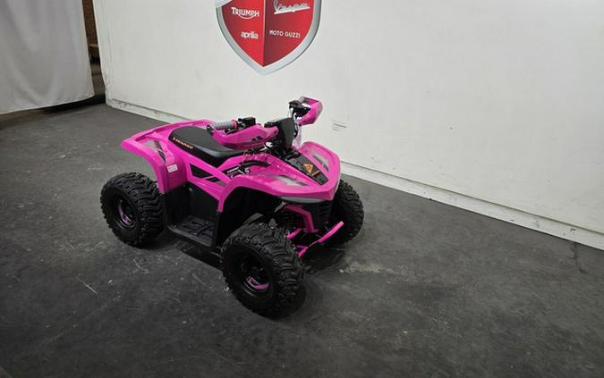 2026 Denago Powersports E-HAWK 6