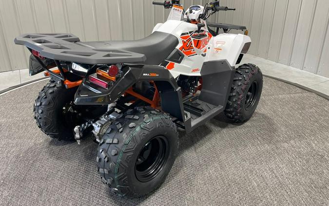 2025 BULL 300 EFI - Kayo