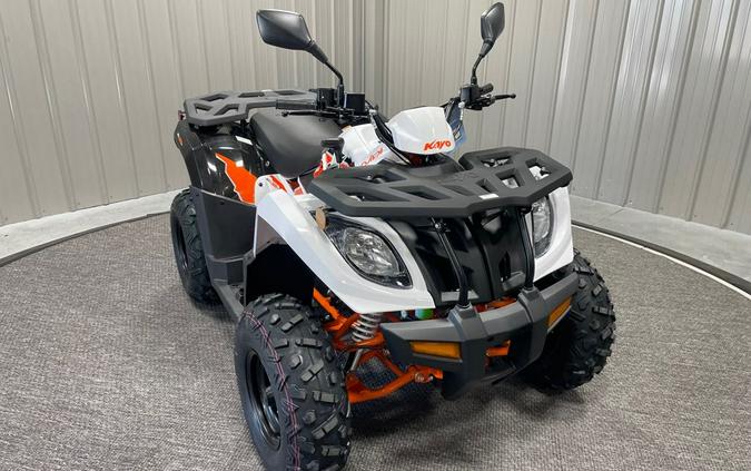 2025 BULL 300 EFI - Kayo