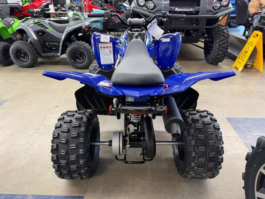 2026 Yamaha Raptor 110
