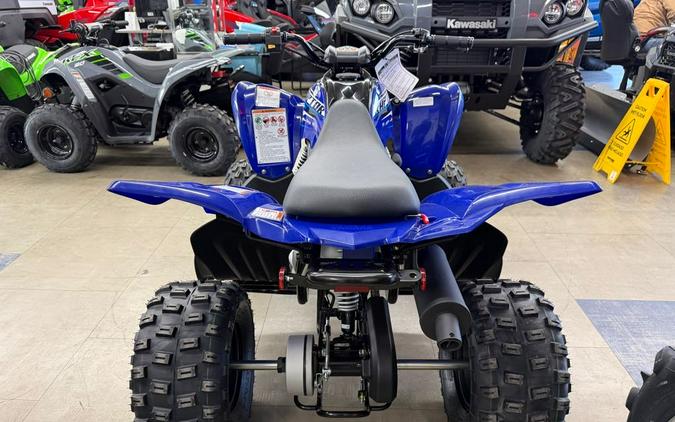 2026 Yamaha Raptor 110