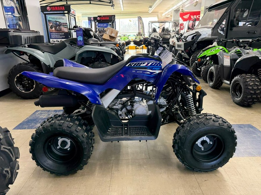 2026 Yamaha Raptor 110
