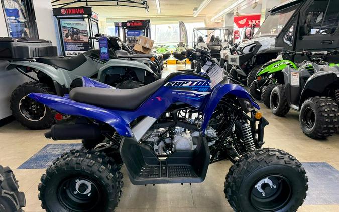 2026 Yamaha Raptor 110