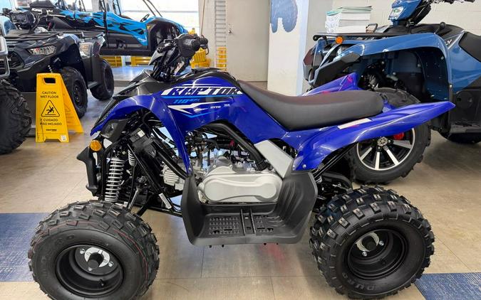 2026 Yamaha Raptor 110