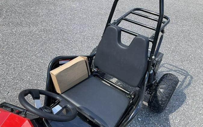 2026 Trailmaster Cheetah I3 Kids Electric