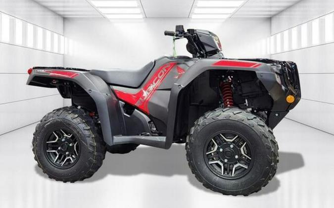 2024 Honda FourTrax Foreman Rubicon 4x4 Automatic DCT EPS Deluxe