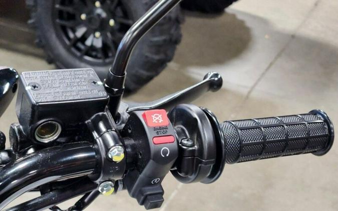 2025 Honda XR™ 150L
