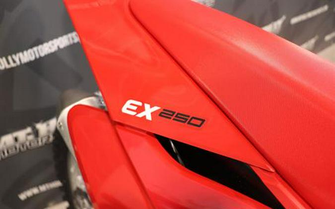 2024 GASGAS EX 250