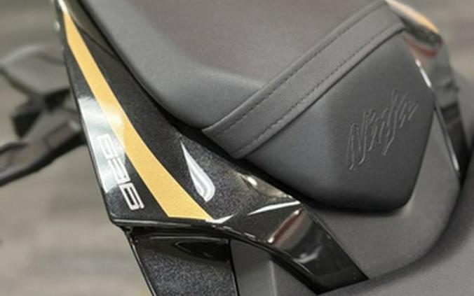 2026 Kawasaki Ninja ZX-6R