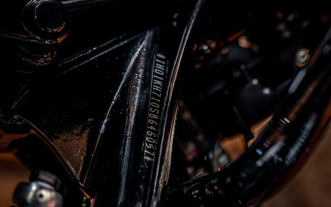 2025 Harley-Davidson Road Glide