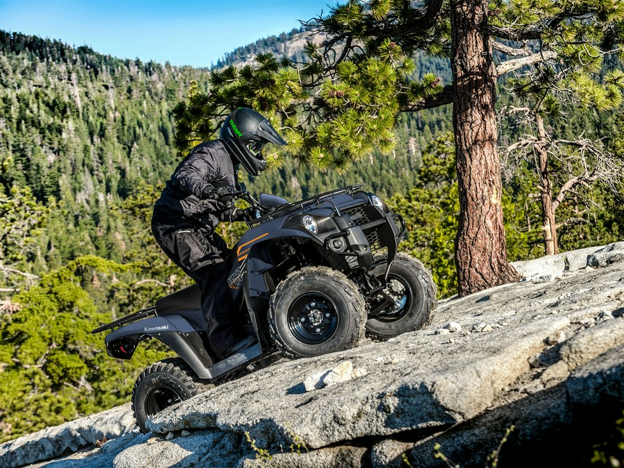 2024 Kawasaki Brute Force 300