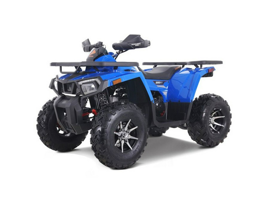 2026 Denago Powersports Mudhawk 200 FI