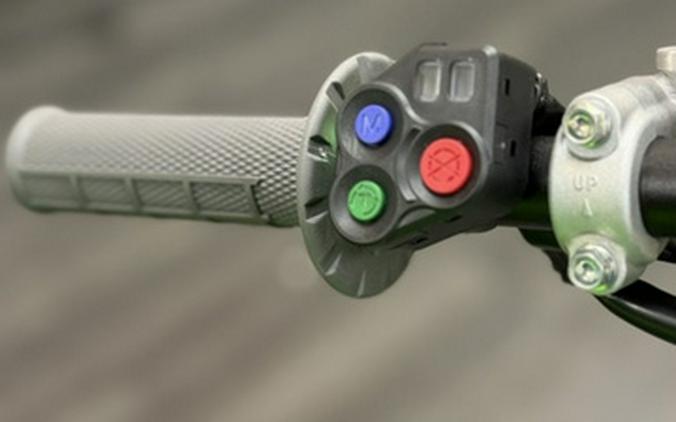 2026 Kawasaki KX 250