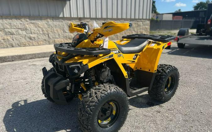 2026 Denago Powersports Mudhawk 10 FI