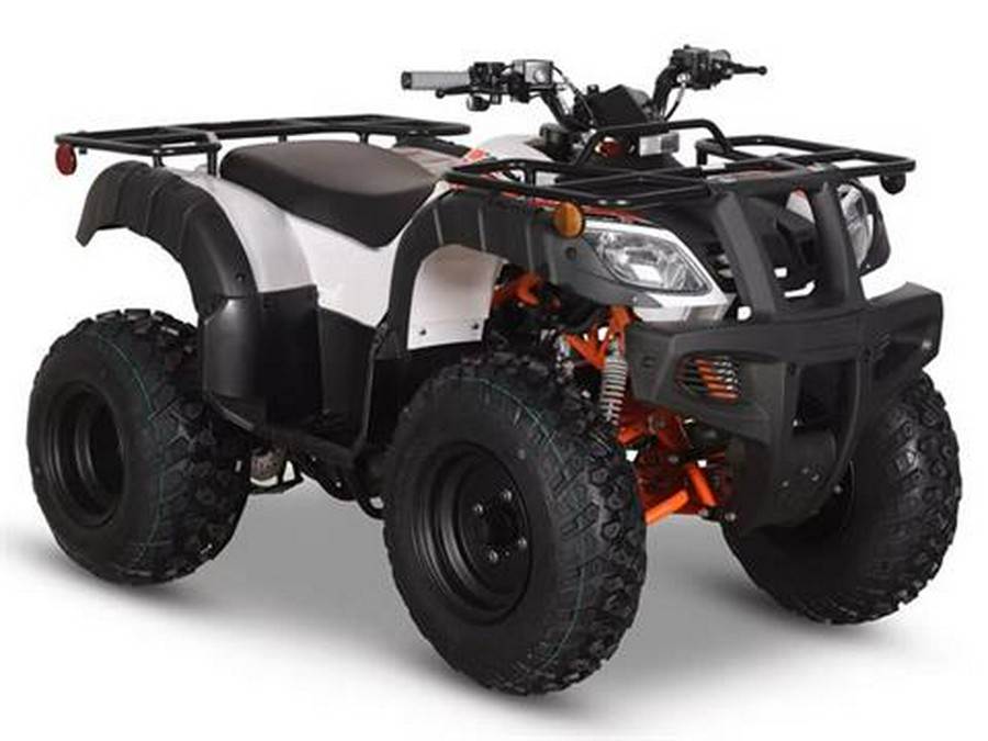 2026 Kayo Bull 150 EFI