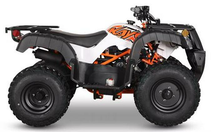 2026 Kayo Bull 150 EFI