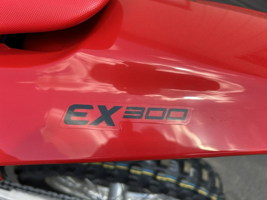 2025 GASGAS EX 300