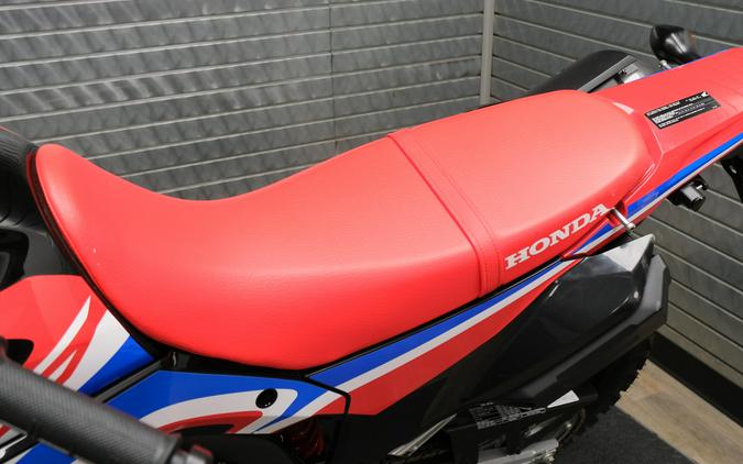 2024 HONDA CRF 300L RALLY