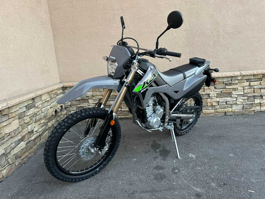 2024 KAWASAKI KLX 300