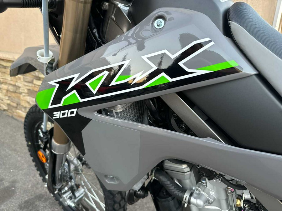 2024 KAWASAKI KLX 300