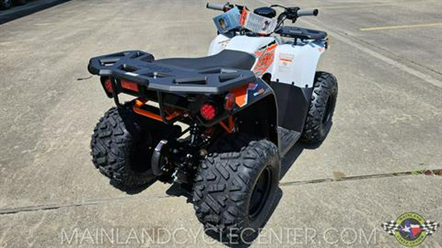 2025 Kayo Bull 125 EFI