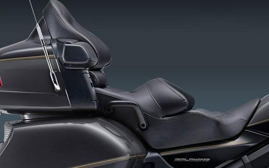 2016 Honda Gold Wing Airbag