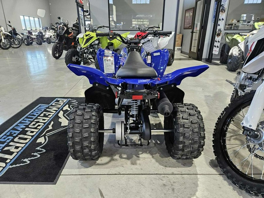 2026 Yamaha Raptor 110