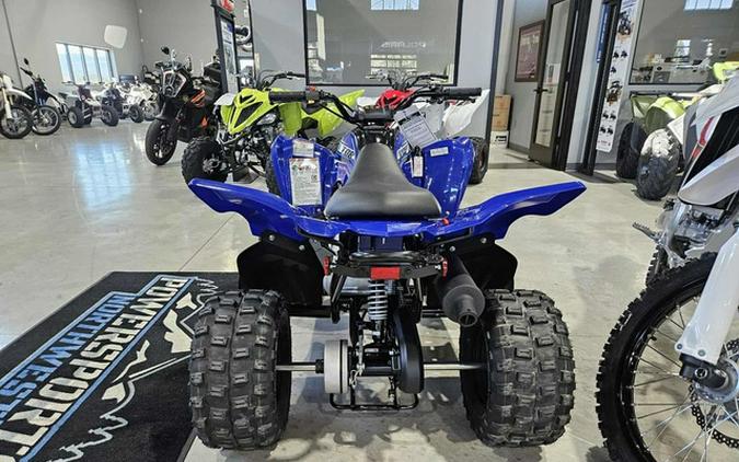2026 Yamaha Raptor 110