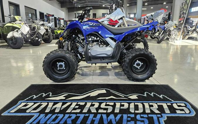 2026 Yamaha Raptor 110