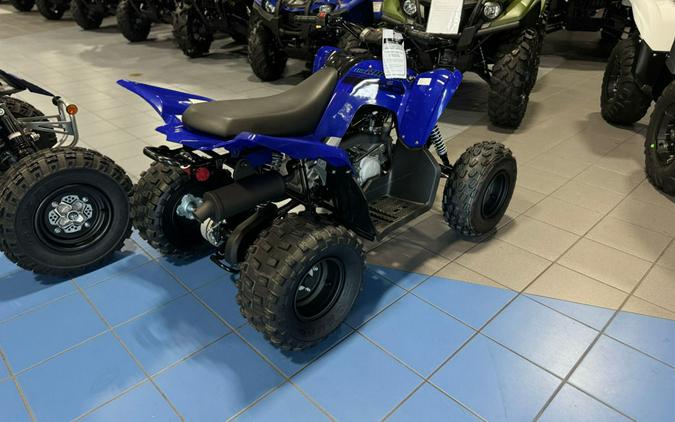 2025 Yamaha Raptor 110