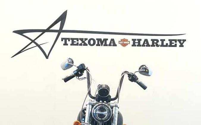 2010 Harley-Davidson DYNA SUPER GLIDE FXD