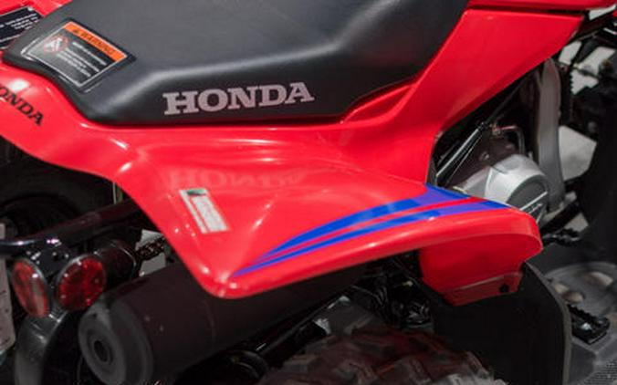 2024 Honda® TRX90X