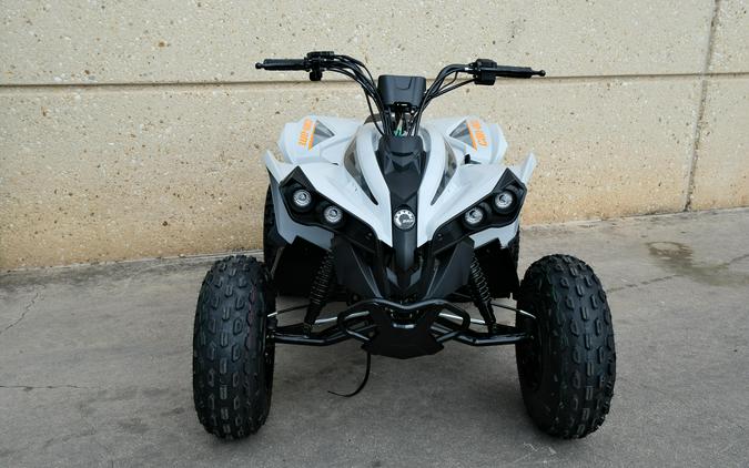 2027 CAN-AM RENEGADE 110 EFI