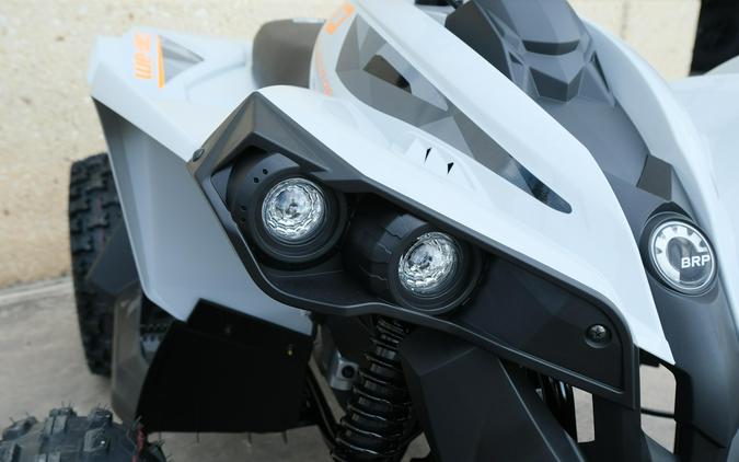 2027 CAN-AM RENEGADE 110 EFI