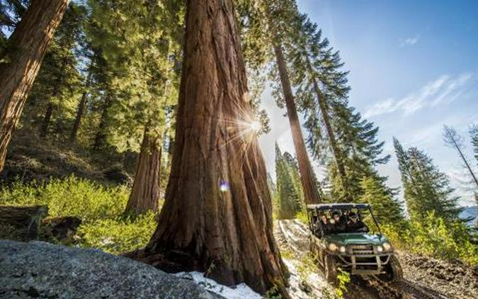 2015 Kawasaki Mule PRO-FXT™ EPS LE