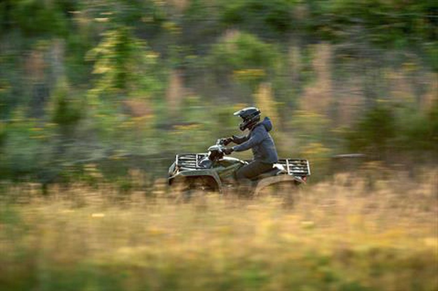 2020 Yamaha Grizzly EPS