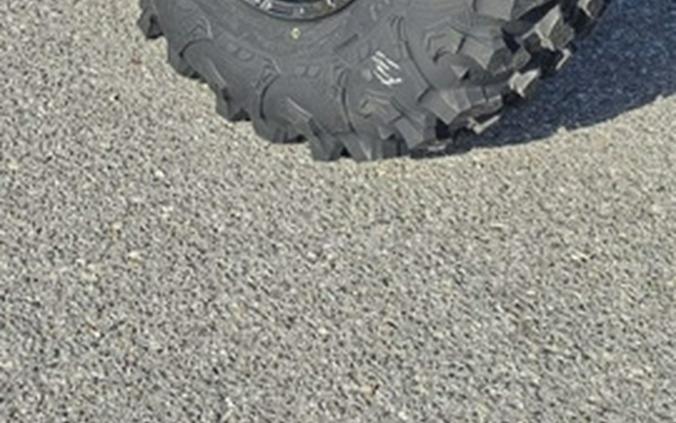 2026 Kawasaki Teryx KRX4 1000 eS